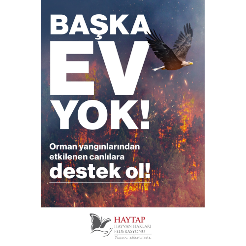 Başka Ev Yok Destek Kartı