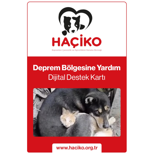 Deprem Destek Kartı