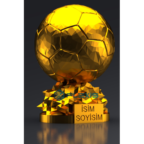 İSMİNİZE ÖZEL FIFA BALLON D'OR MAKETİ GOLD KAPLAMA 15 CM HEDİYELİK